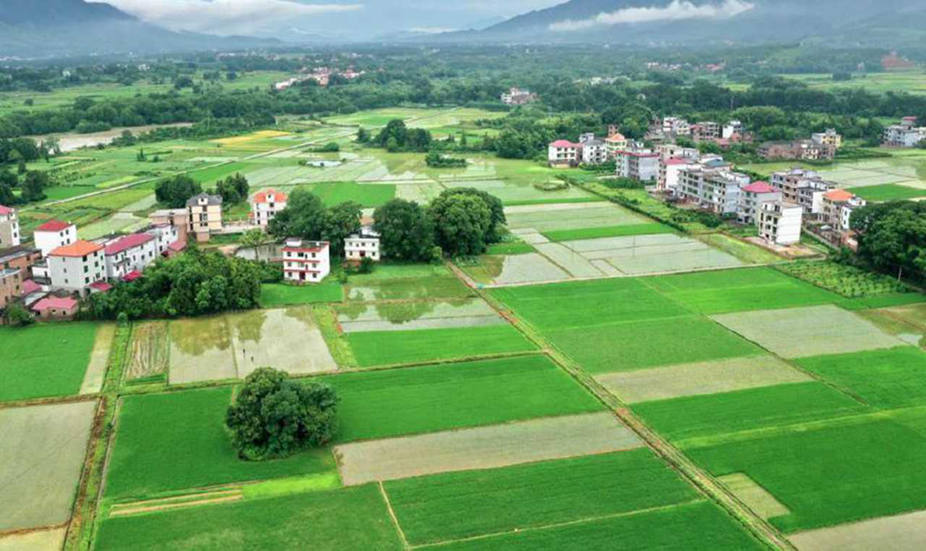 射洪县2020 年涪西镇中央转移支付高标准农田建设项目