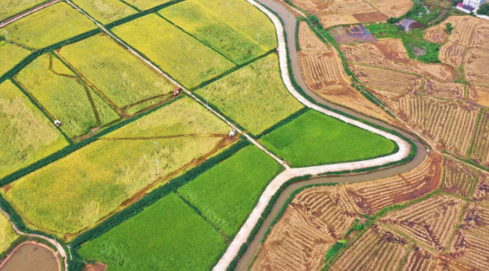 中江县 2022 年高标准农田建设项目实施方案编制
